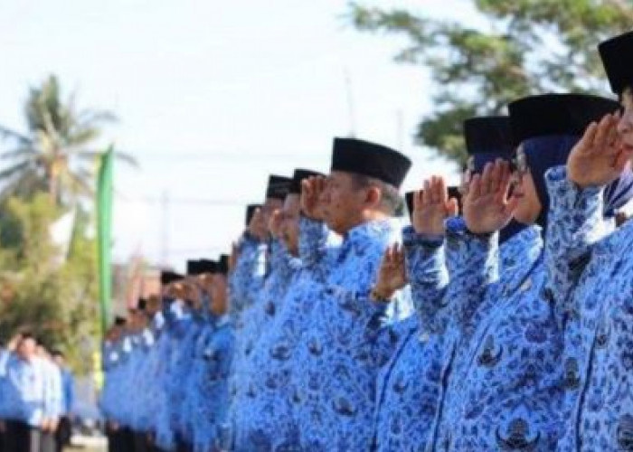 CPNS 2024: Kemenpan RB Sediakan Sebanyak  250.407 Formasi, Berikut Jadwal Lengkapnya