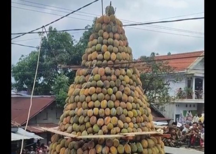Heboh Festival Durian di Kronto Pasuruan Sebanyak 2.024 Duren Disusun jadi Gunungan
