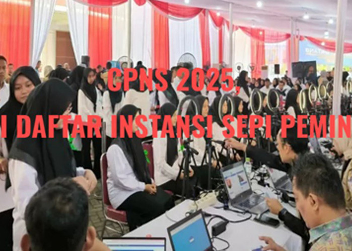 CPNS 2025, Ini Instansi Pusat dan Daerah yang Sepi Peminat Pada Seleksi Sebelumnya, Cek Sekarang