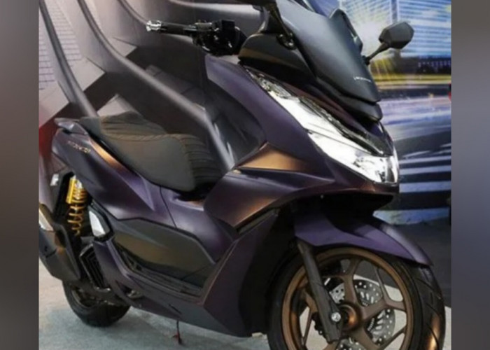 Gaya Modifikasi Honda PCX 160: Dari Elegan, Touring, hingga Performa