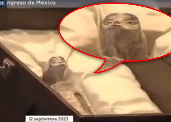 Gempar! 2 Mayat Alien Usia 1.000 Tahun dipamerkan di Kongres Meksiko