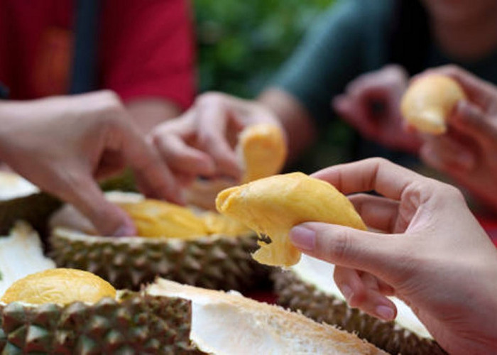 Inilah 4 Ciri Khas dan 7 Manfaat Buah Durian untuk Kesehatan