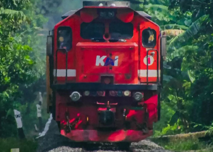 Sudah Diberangkatkan, Kereta Api Serelo dan Rajabasa Balik Lagi ke Palembang, Alasannya Demi Keselamatan