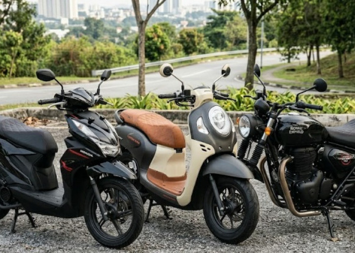 5 Langkah Memilih Cover Jok Motor Awet dan Tahan Cakaran Kucing