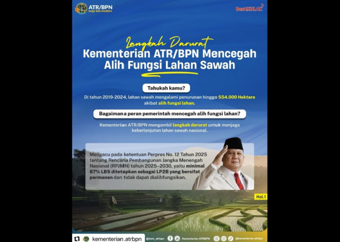 Langkah Darurat Kementerian ATR/BPN Mencegah Alih Fungsi Lahan Sawah Demi Ketahanan Pangan