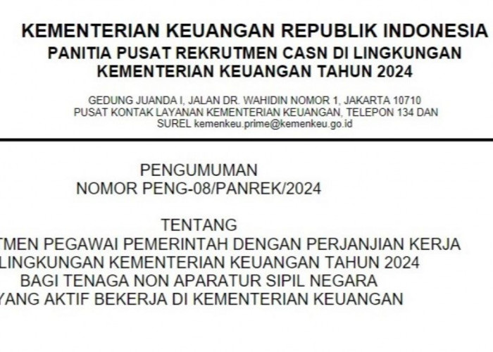 PPPK 2024 Tahap 2, Kemenkeu Siapkan Sejumlah Formasi, Cek Rinciannya Berikut!