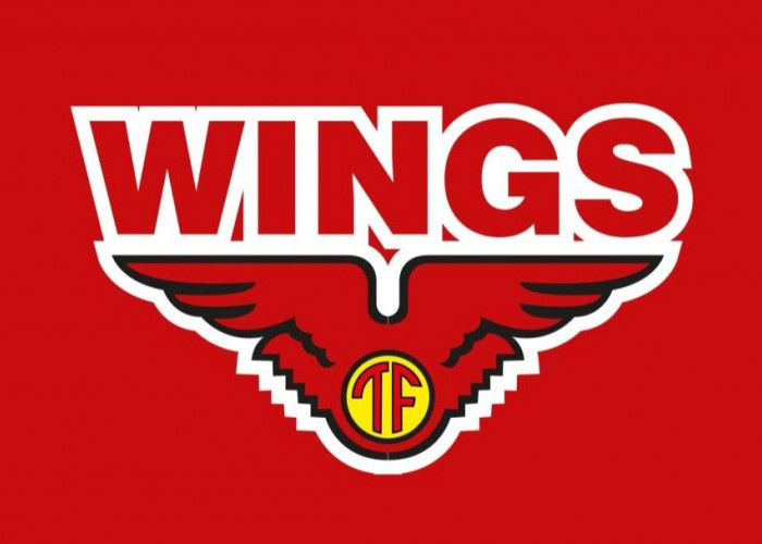 Lowongan Kerja Terbaru di PT Sriwijaya Distribusindo Raya Wings Group Lubuk Linggau