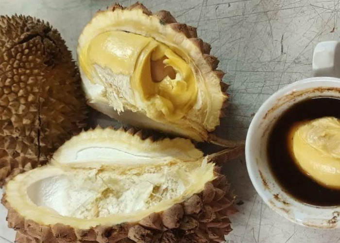 Minum Kopi Campur Durian Bisa Beracun, Benarkah, Cek Mitos atau Fakta