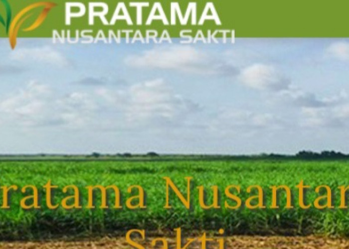 Info Lowongan di PT Pratama Nusantara Sakti, Penempatan Wilayah Kerja OKI