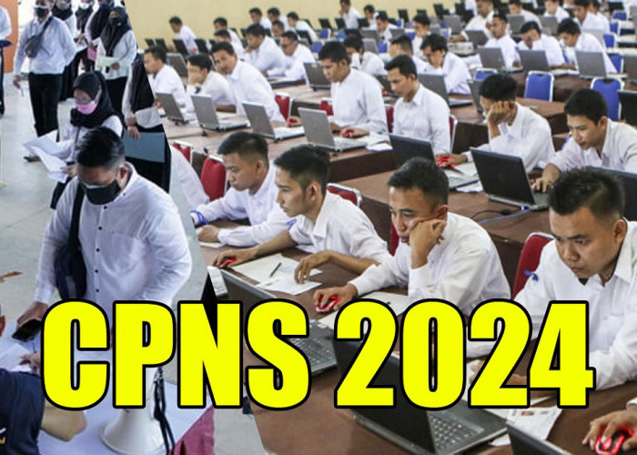 Jadwal Terbaru Pengumuman SKD CPNS 2024 dari BKN, Catat Mulai Tanggal Ini