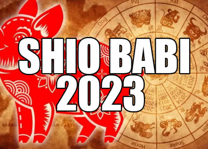 Shio Babi 2023: Akan Dipenuhi Keberuntungan dan Kebahagiaan