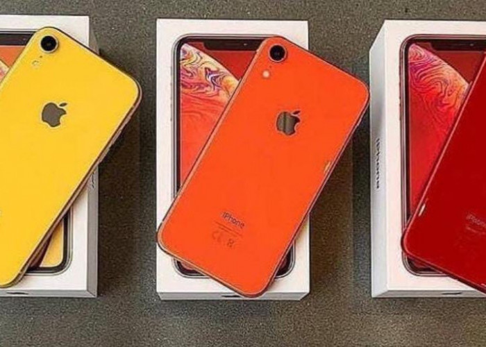 Update Harga HP iPhone XR Bekas dan Baru 2024 di Lubuk Linggau, Berminat? Cek Speknya di Sini