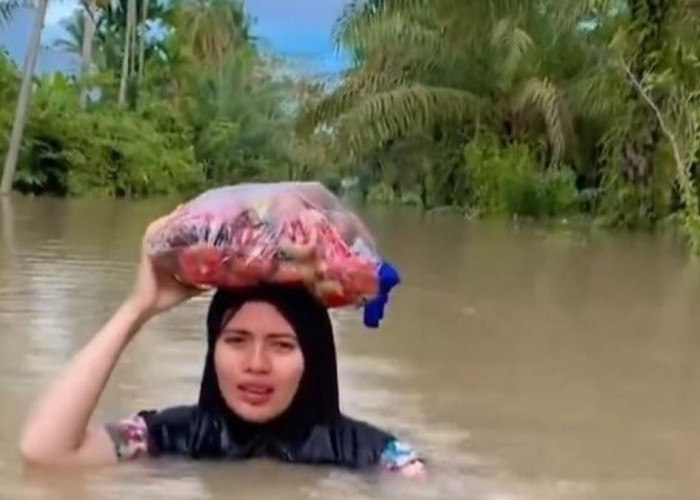 Aceh Darurat Banjir, Telah Merendam Ratusan Desa Sebanyak 4.048 Warga Mengungsi