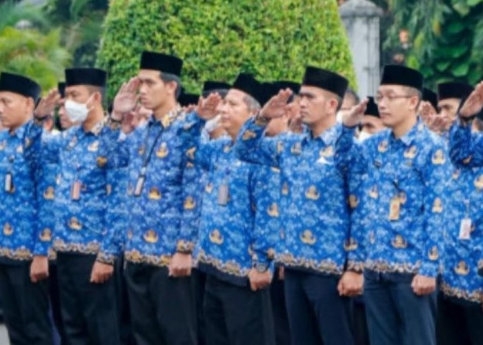 CASN 2024 Dibuka Agustus, Siap-Siap! Catat Jadwal Lengkapnya Berikut