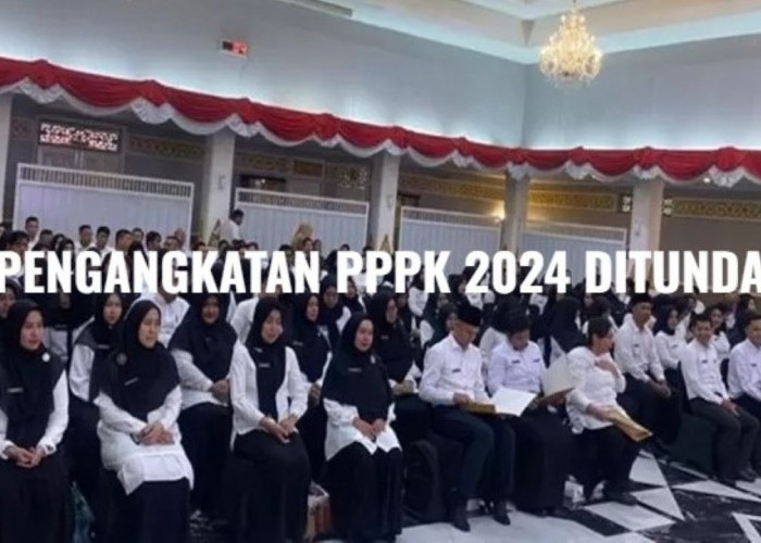 Pengangkatan PPPK 2024 Ditunda, Ini Alasan Penundaan dan Jadwal Terbarunya