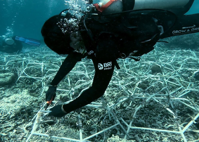 Jaga Ekosistem Laut Tetap Lestari, Ini Aksi Nyata BRI Menanam - Grow and Green di Pulau Kapoposang 