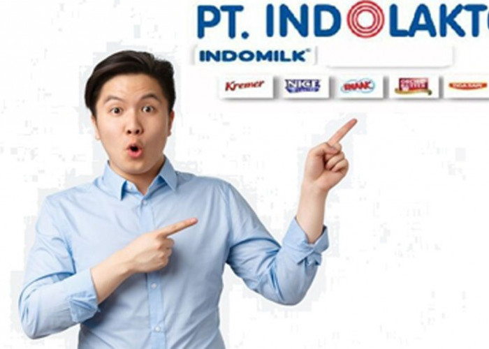 Lowongan Kerja di PT Indolakto Group Indofood, Berikut Posisi dan Penempatannya