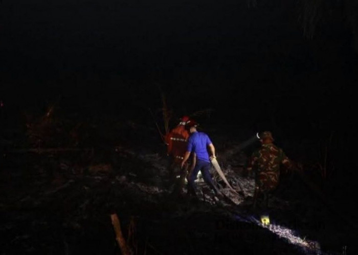 Sepanjang 2026, Sudah 24 Kali Terjadi Kebakaran Lahan di Lubuk Linggau, Warga Dihimbau Jangan Sampai Memicu