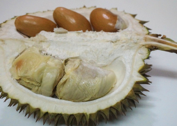 11 Manfaat Mengkonsumsi Biji Durian untuk Kesehatan yang Jarang Diketahui, Jangan Dibuang!