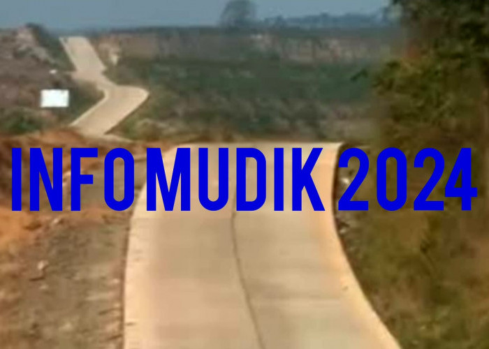 INFO MUDIK 2024: Idul Fitri, Inilah 3 Jalan Lintas Menuju Palembang dari Lubuk Linggau