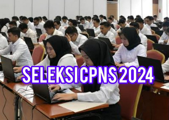 Pengumuman Seleksi Administrasi CPNS 2024 Berakhir, Ini Tahapan Berikutnya