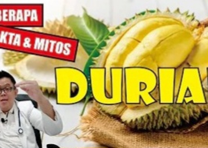 Cari Tahu di Sini, Mitos dan Fakta Tentang Durian, Jangan Salah Arti Lagi