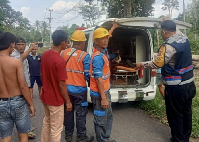 Petugas PLN Kesetrum Jaringan Listrik di Mura, Begini Kondisinya 