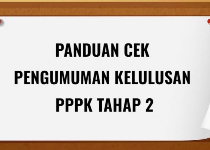 Ujian  PPPK Tahap 2 Telah Berakhir, Berikut Panduan Melihat Hasil Pengumuman