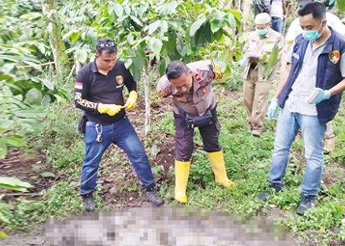 Pria di Lahat Ditemukan Tewas Diikat di Kebun Kopi, Ini Penyebabnya