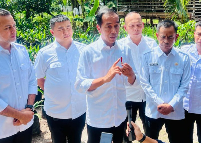 Setelah Viral, Presiden Jokowi Kunjungi Sumut: Jangan Sampai Jalur Logistik dan Jalan Produksi Rusak Parah