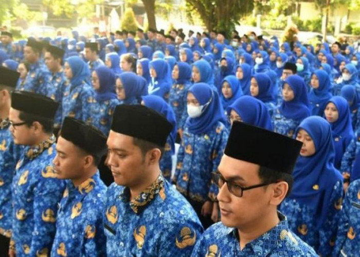 CASN 2024 Provinsi Sumatera Selatan Buka 6.138 Formasi, Cek Rinciannya Sekarang