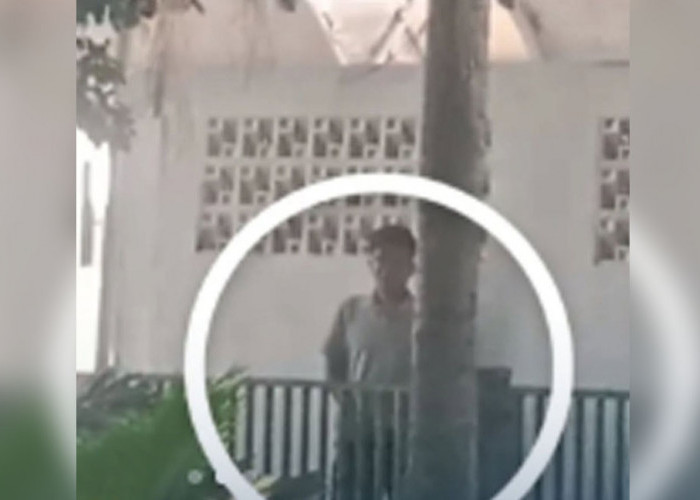 Oknum Pria Tak Dikenal Diduga Lecehkan Siswi di Foodcourt Merdeka Juara  Lubuk Linggau, Satpol PP Buka Suara