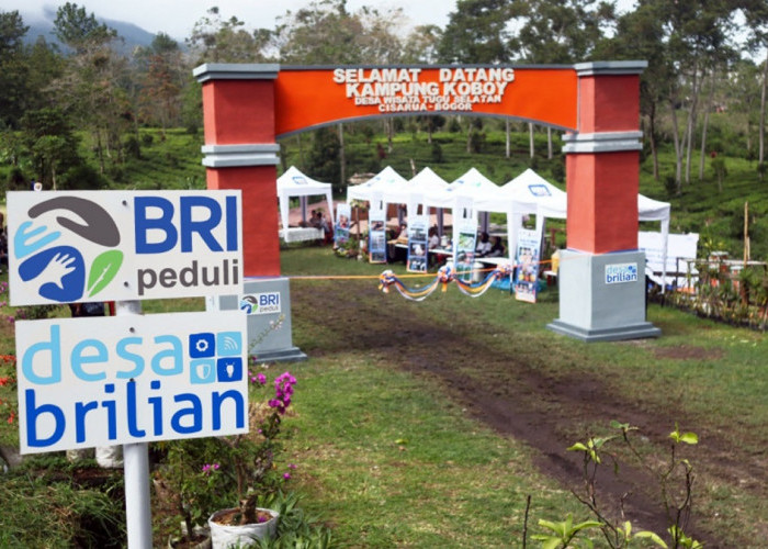 Jangkau 5.245 Desa BRILiaN, BRI Perluas Dukungan bagi Pengembangan Ekonomi Desa