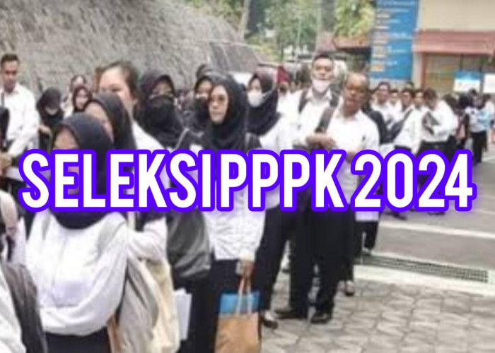 PPPK 2024, Ini Ketentuan Seleksi Kompetensi Dari Jumlah Soal, Bobot Nilai Hingga Waktu Pengerjaan