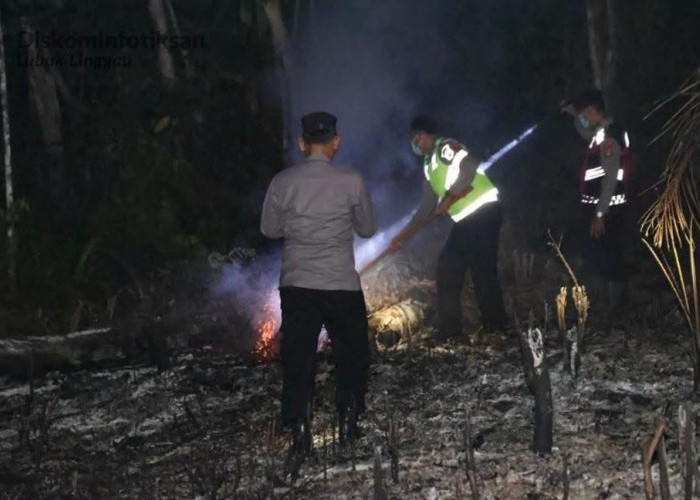Lubuk Linggau Dikepung 57 Titik Api, 23 Hektare Lahan Hangus - Damkar: Banyak yang Sengaja Dibakar