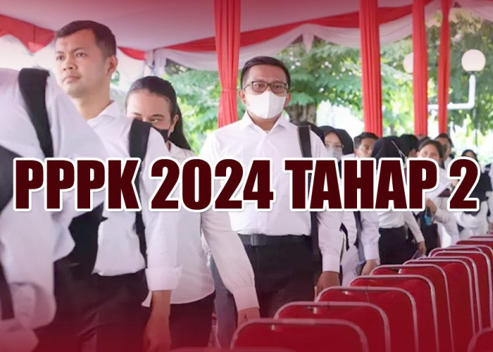 PPPK 2024 Tahap 2, Penguman Hasil Seleksi Administrasi dan Jadwal Selanjutnya, Cek Sekarang