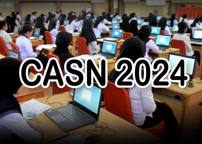 CASN 2024, Pemkab Tanjung Jabung Barat Jambi Buka Seleksi CPNS dan PPPK, Berikut Jumlah Kuotanya