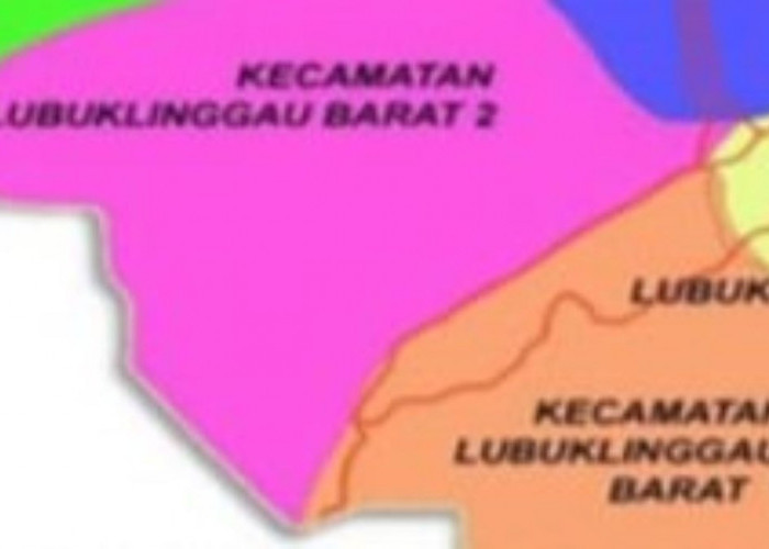 Daftar Calon Tetap DPRD Dapil 1 Kota Lubuk Linggau, Siapa yang Kamu Pilih