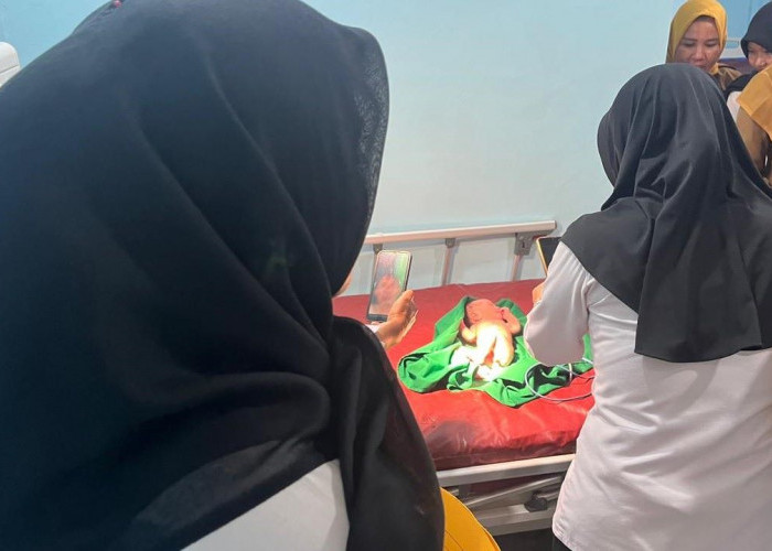 Kronologis Penemuan Bayi Perempuan di Semak-semak Empat Lawang