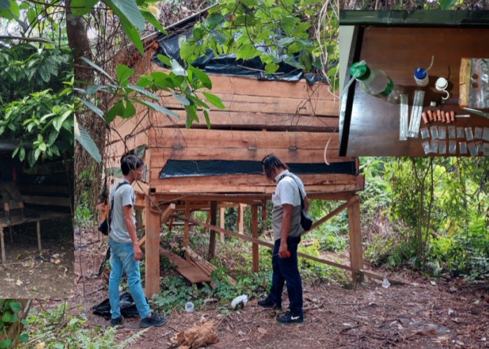 Enam Pondok di Tepi Hutan Muratara Bikin Polisi Murka, Langsung Dirobohkan