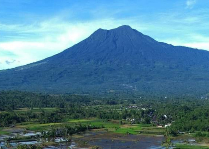 Pagaralam Penghasil Kopi Robusta Unggulan di Indonesia dan Wisata Gunung Dempo Menjadi Daya Tarik Wisatawan
