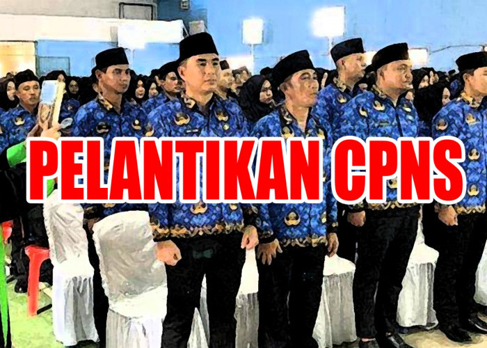 Lulus CPNS 2024, Ini Jadwal Pelantikan dan Penyerahan SK, Simak Alurnya 