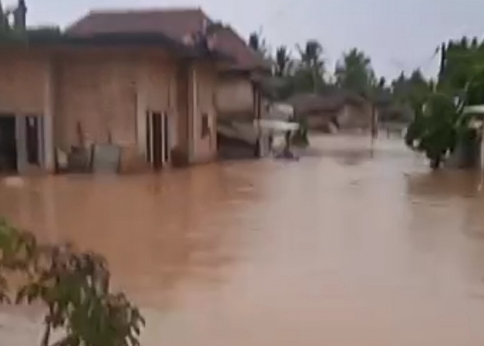 Muratara Terendam Banjir, Imbas Luapan Sungai Rupit, Warga Mengungsi 