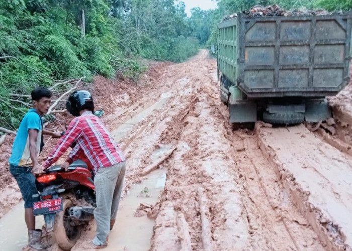 Truk Batu Bara Merusak Jalan Desa Macang Sakti Menuju Mangunjaya Kabupaten Musi Banyuasin