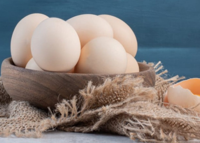 Inilah 10 Manfaat Telur Ayam Kampung, Nomor 9 Bikin Istri Geleng Kepala  
