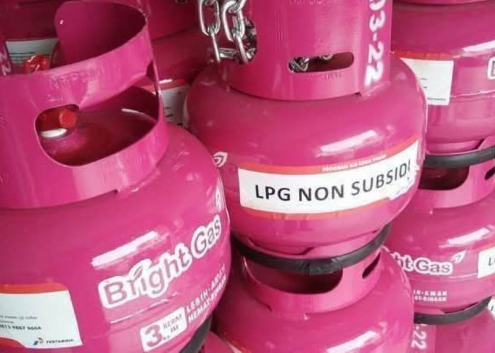 Di Mana Bisa Membeli LPG 3 Kg Pink, ini Kata Pertamina, Berikut Daftar Harganya