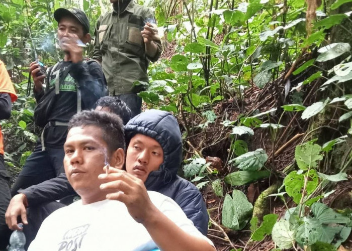 Alhamdulillah, Pendaki yang Hilang di Bukit Kaba Rejang Lebong Ditemukan, Nyaris Pingsan di Bawah Pohon