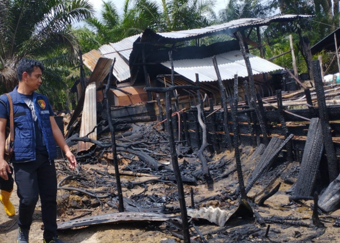 Penyulingan Minyak llegal di Muba Terbakar, Polsek Babat Toman Berhasil Amankan Pemilik