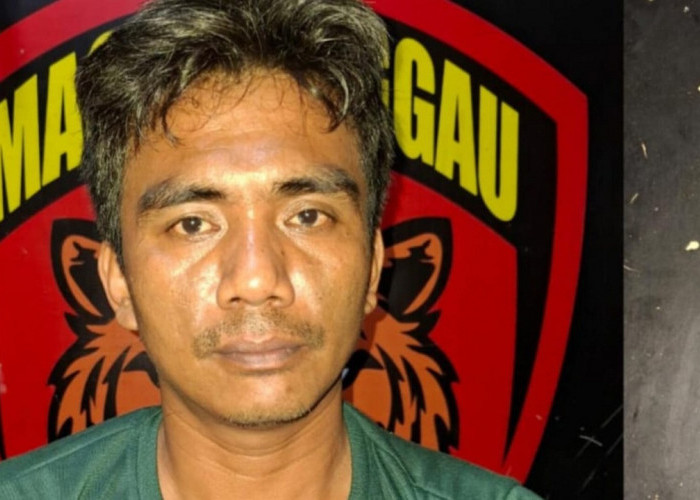 Rudi Hartono Pelaku Pembunuhan Warga Lubuk Linggau, Terlibat Komplotan Pencuri Hewan Ternak, Juga Residivis