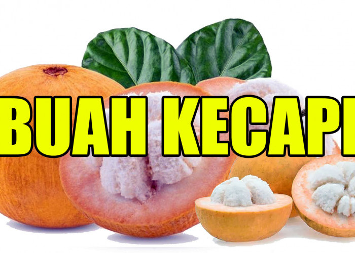 Ketahui, ini 4 Manfaat Mengonsumsi Buah Kecapi Bagi Kesehatan